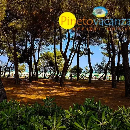 Casa Felice 4 - Apartament